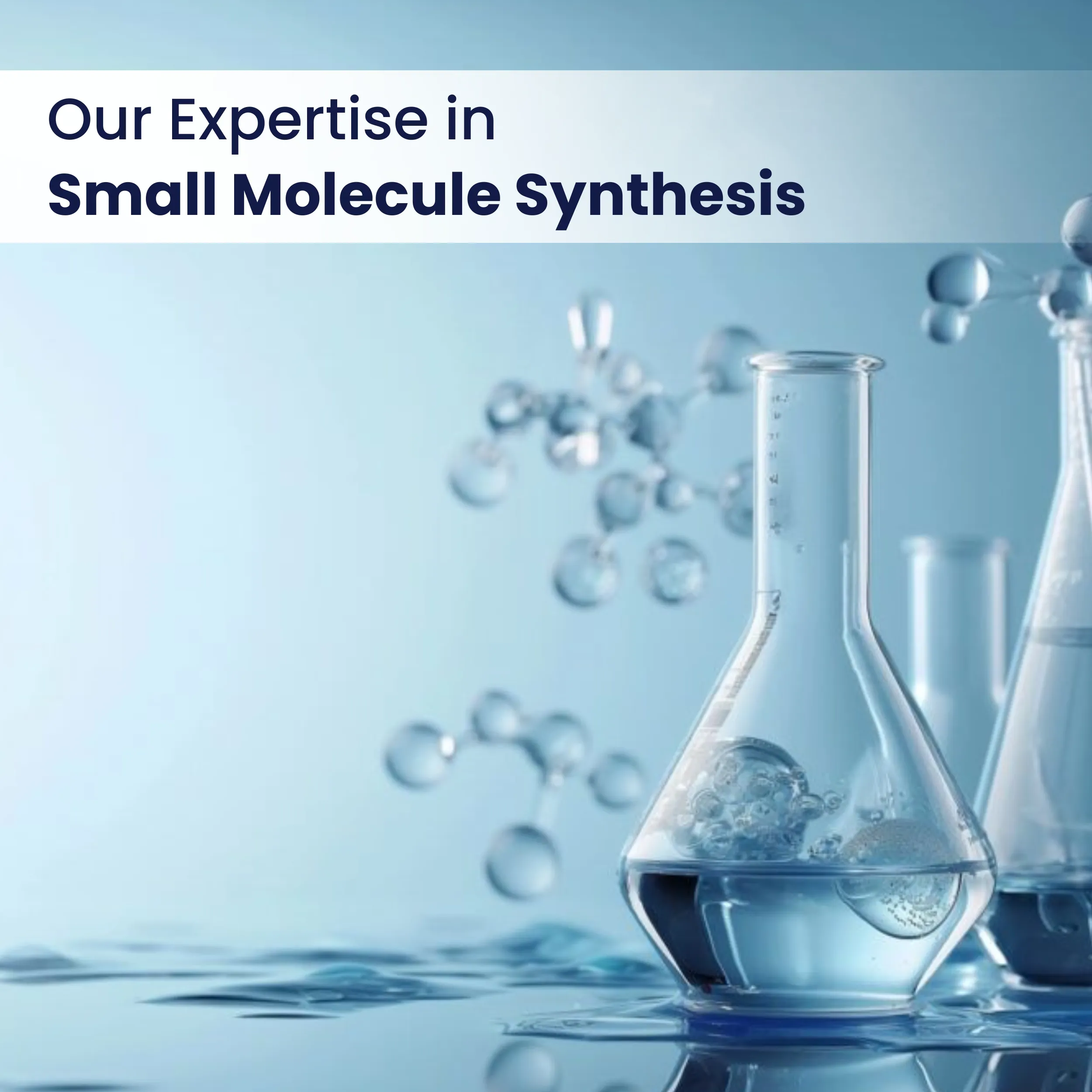 Our Expertise in Small Molecule Synthesis
